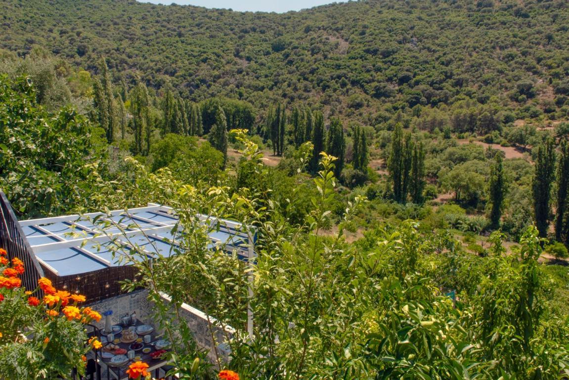 Stunning Home Benamahoma 4 Bed - Sierra Grazalema Екстериор снимка